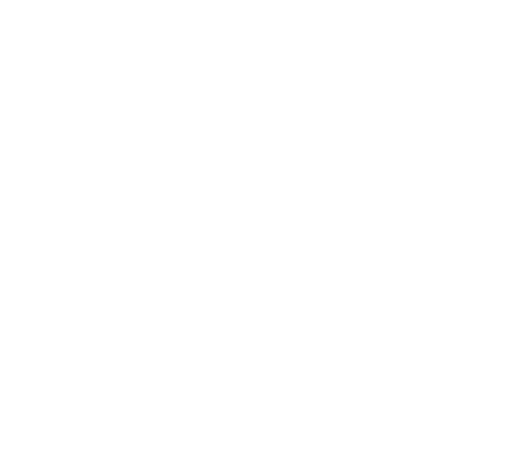 Partriece Lyons Photography